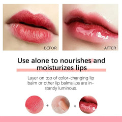 Lightweight Plumping Lip Oil & Gloss